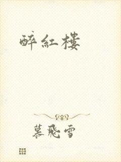 醉红楼