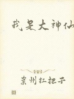 我是大神仙小说