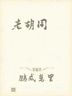 老胡同