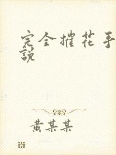 完全摧花手册小说封面