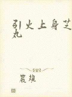 引火上身芝麻糖丸封面