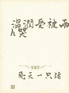 温润受被两个攻h哭封面