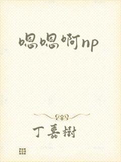 嗯嗯啊np