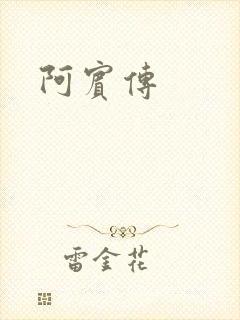 阿宾传