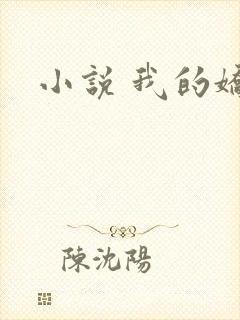 小说 我的娇妻封面