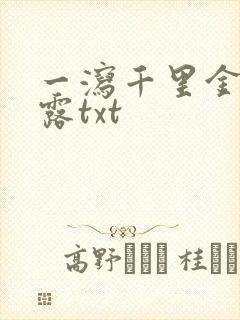 一泻千里金银花露txt