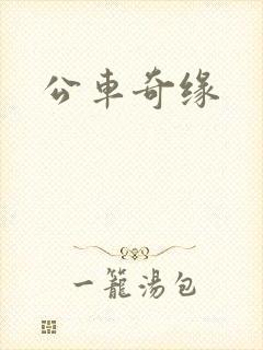 公车奇缘