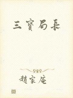 三宝局长封面