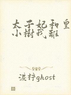 太子妃和皇上在小树我离