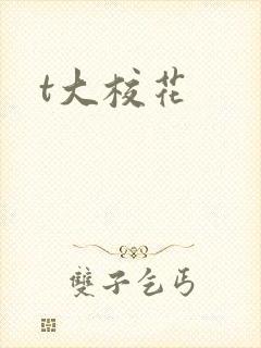 t大校花