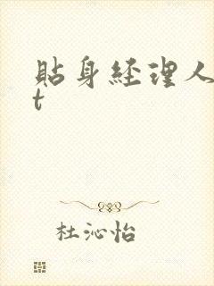 贴身经理人txt