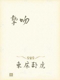 挚吻