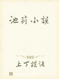 池莉小说封面