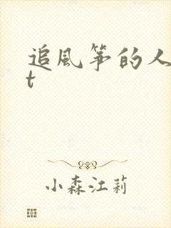 追风筝的人txt