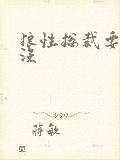 狼性总裁要够了没封面