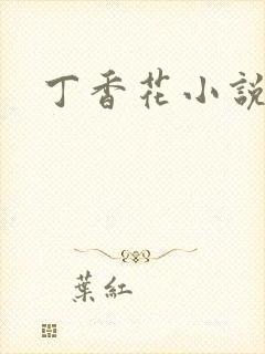 丁香花小说