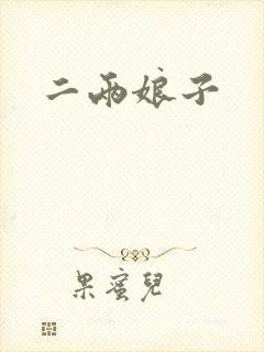 二两娘子封面