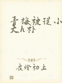 青梅被从小摸到大h补