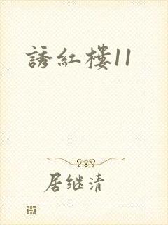诱红楼11封面