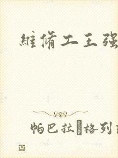维修工王强张婷