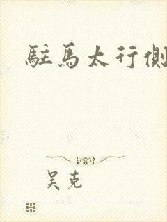 驻马太行侧