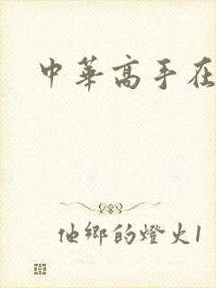 中华高手在异世封面