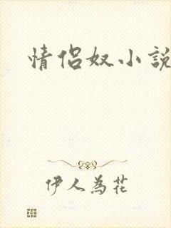 情侣奴小说