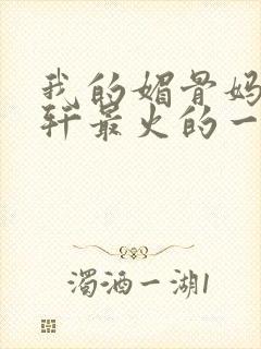 我的媚骨妈妈林轩最火的一句