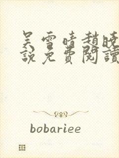 吴雪晴赵晓东小说免费阅读