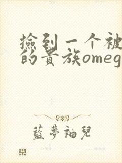 捡到一个被抹布的贵族omega