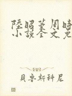 陆昭菱周时阅的小说全文免费阅读封面
