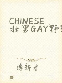 CHINESE壮男GAY野战强迫TUBE封面