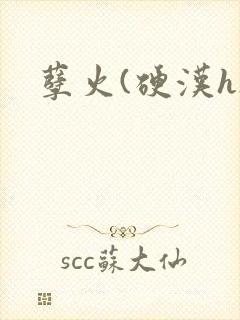 孽火(硬汉h)