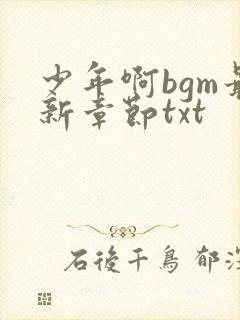 少年啊bgm最新章节txt