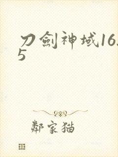 刀剑神域16.5
