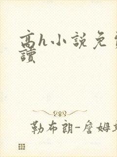 高h小说免费阅读封面