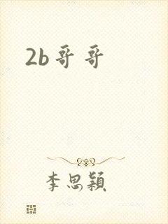 2b哥哥