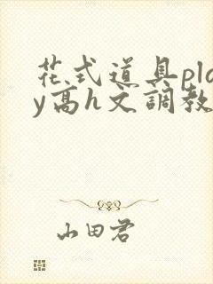 花式道具play高h文调教