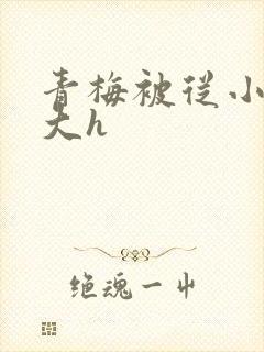 青梅被从小摸到大h封面