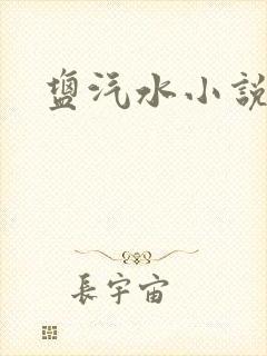 盐汽水小说