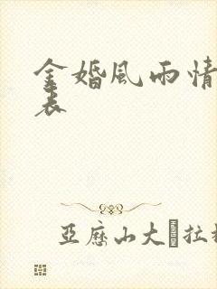 金婚风雨情演员表封面