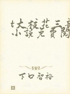 t大校花三部曲小说免费阅读全文