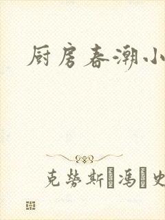 厨房春潮小说