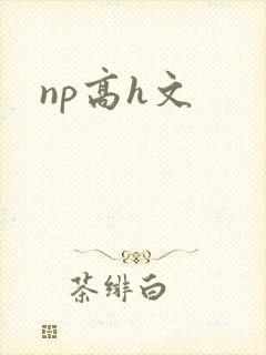 np高h文封面