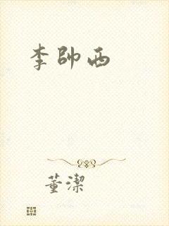 李帅西封面