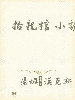 抬龙棺 小说