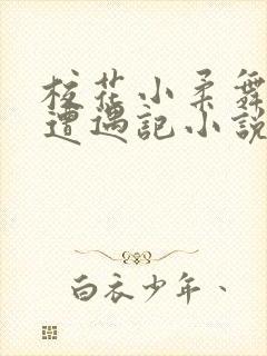 校花小柔舞蹈室遭遇记小说