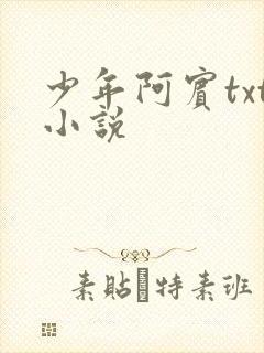 少年阿宾txt小说