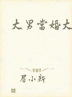 大男当婚大结局