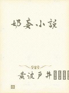 奶妾小说